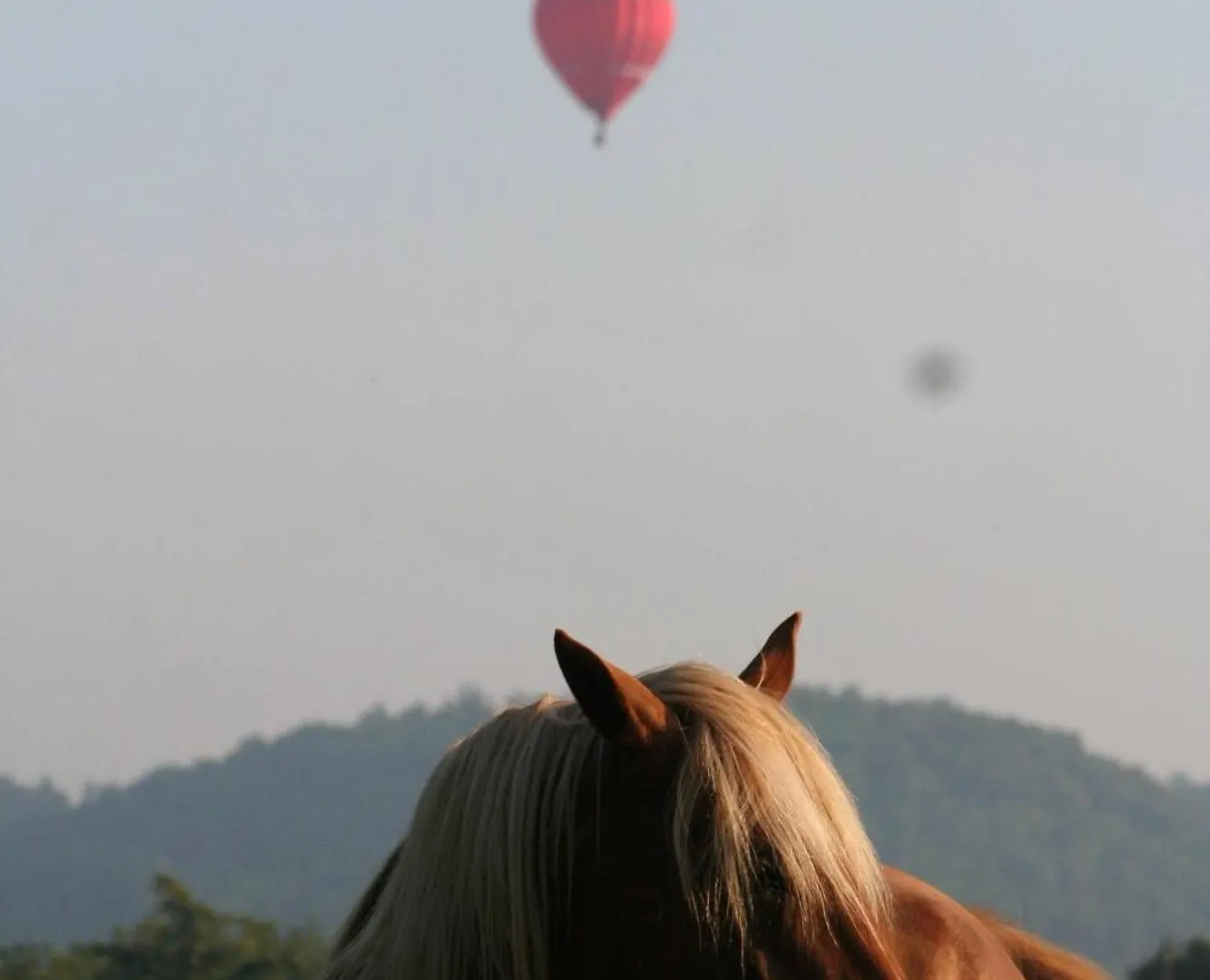 Dégagnac Centre Equestre Du Passe Temps 빌라 프랑스